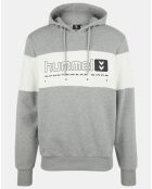 Sweat hoodie Musa en Coton bicolore gris/blanc