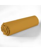 Drap housse en coton bonnet 35 cm safran