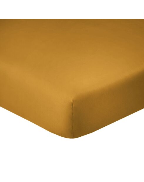 Drap housse en coton bonnet 35 cm safran