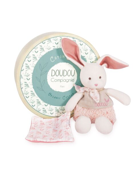 Lapin avec doudou rose