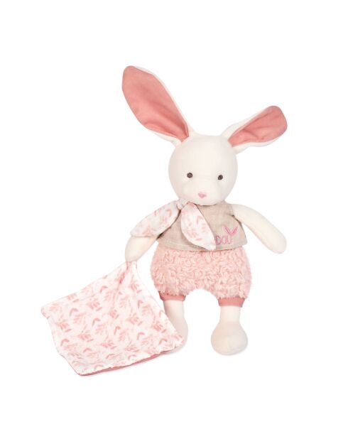 Lapin avec doudou rose
