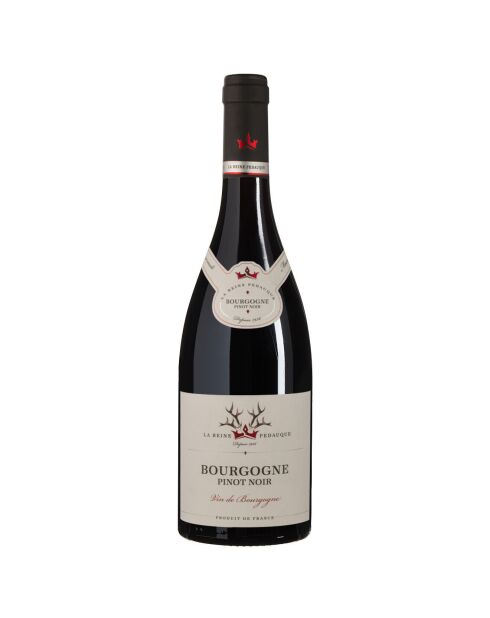 1 Bourgogne Pinot Noir 2020 Dom. Reine Pédauque 75cl