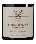 1 Bourgogne Pinot Noir 2020 Dom. Reine Pédauque 75cl