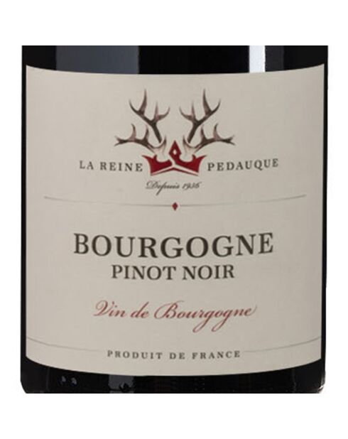 1 Bourgogne Pinot Noir 2020 Dom. Reine Pédauque 75cl