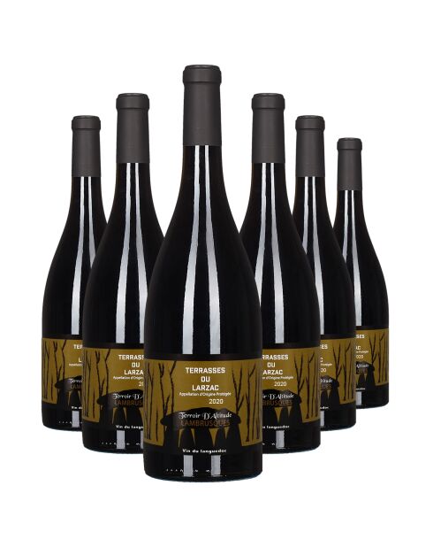 6 Terrasses-du-Larzac Terroir d'Altitude 2020 Dom. des Lambrusques 6x75cl