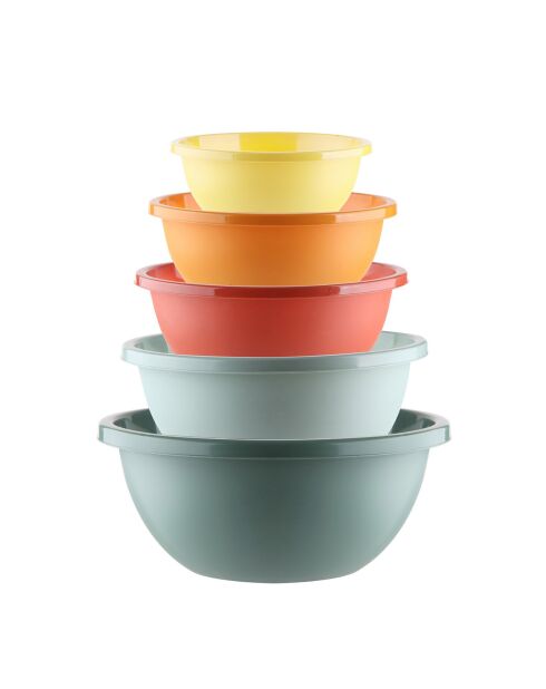 Ensemble de boîtes de rangement 5 pièces multicolore