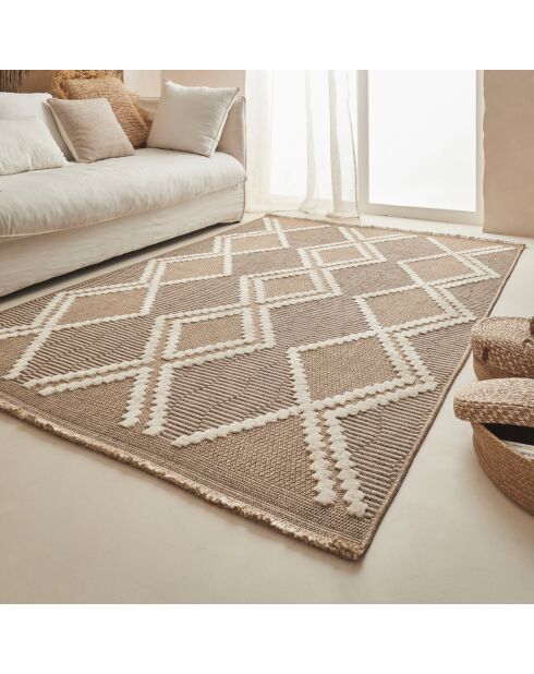 Tapis aspect jute TULUM 9048 intérieur & extérieur marron - 60x90 cm
