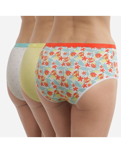 3 Shorties Les Pockets multicolores
