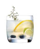 6 Verres bas Vigne transparents - 31 cl