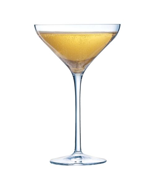 6 Coupes à champagne Cocktail transparentes - 21 cl