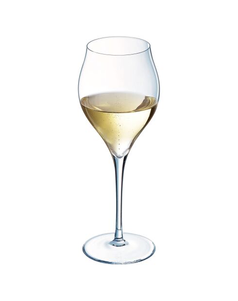 6 transparante champagnefluiten van Exaltation - 30 cl