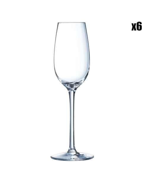 6 Verres à pied Spirits transparents - 12 cl