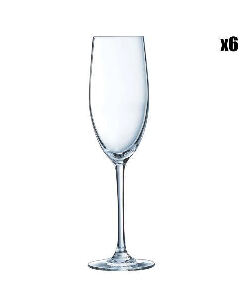 6 Flûtes Cabernet transparentes - 24 cl