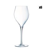 6 transparante champagnefluiten van Exaltation - 30 cl