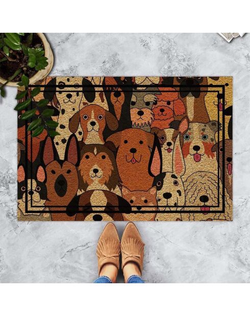 Veelkleurige deurmat - 40x60 cm