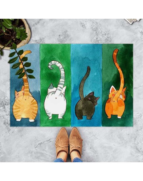 Veelkleurige deurmat - 40x60 cm