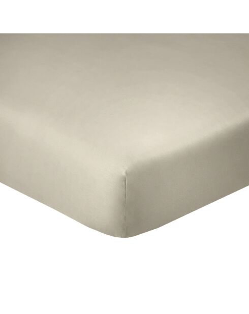 Drap Housse en coton bonnet 35 cm uni latte