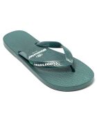 Tongs Classic Pro M vert sapin