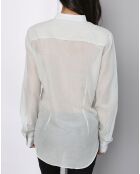 Chemise transparente vert d'eau