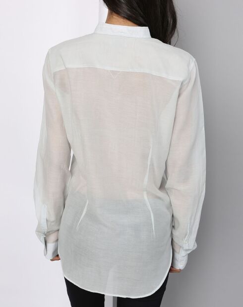 Chemise transparente vert d'eau