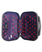 Kabinenkoffer 4 Einzelräder & Vanity Francette-H 50/30 cm grau