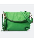 Sac bandoulière en Cuir Agata pomme - 24x4x18 cm