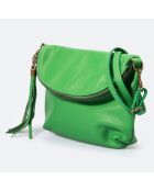 Sac bandoulière en Cuir Agata pomme - 24x4x18 cm