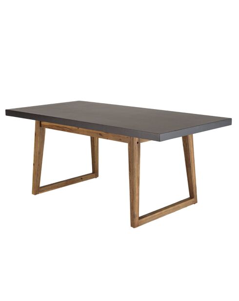 Ensemble Table + 2 bancs bois/béton