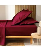 Drap housse 100% Coton Bio Biolina bordeaux