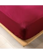 Drap housse 100% Coton Bio Biolina bordeaux