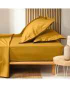 Drap housse 100% Coton Bio Biolina ocre