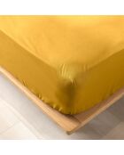 Drap housse 100% Coton Bio Biolina ocre