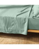 Drap plat 100% Coton Bio Biolina sauge