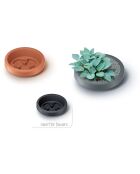 Raccoglitore di acqua piovana 240L antracite - 59,3x59,3x111 cm