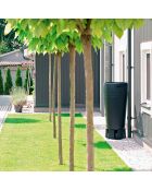 Raccoglitore di acqua piovana 240L antracite - 59,3x59,3x111 cm