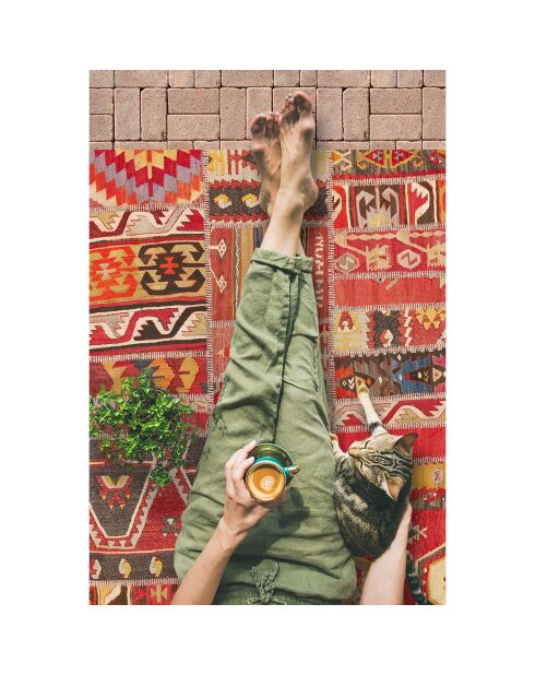 Tapis extérieur/intérieur Timicua multicolore - 140x200 cm