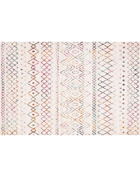Tapis extérieur/intérieur Zaira multicolore - 160x230 cm
