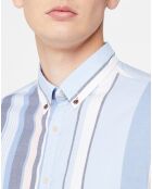 Chemise Regular Fit en Coton Oxford rayée bleu/rose