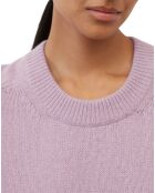 Pull en Laine mélangée violet clair