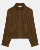 Blouson en Velours côtelé marron