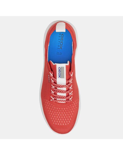Baskets Spherica rouges