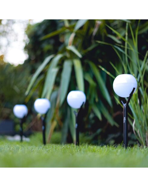 Solar Peaky Ball zonnebaken zwart - 41x9x9 cm