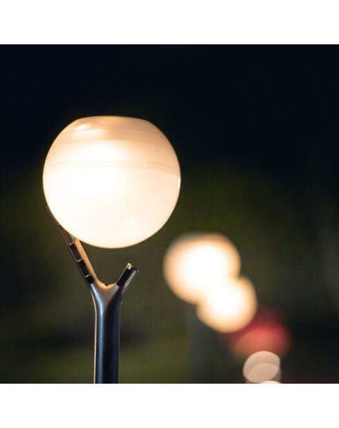 Solar Peaky Ball zonnebaken zwart - 41x9x9 cm