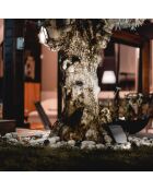 Lámpara solar solar MultiSpot negra - 10x10 cm