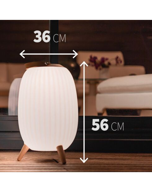 2 Ambiant XL weiße musikalische Nomadenlampen - 36x36x56,3 cm