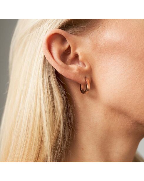 Boucles d'oreilles Vesta en Acier doré