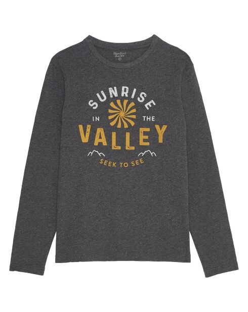 T-Shirt Valley  gris