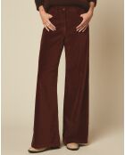 Pantalon en Velours Platine cacao