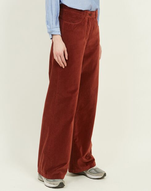 Pantalon en Velours Platine cacao