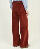 Pantalon en Velours Platine cacao